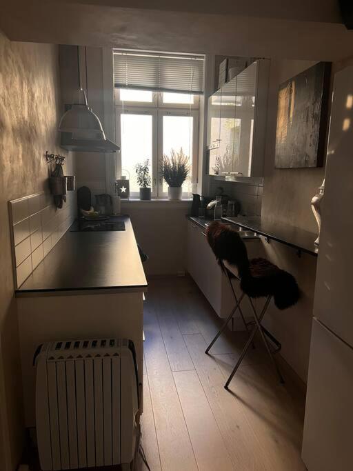 Royal Neighbourhood Elegant Flat In Central Oslo Esterno foto