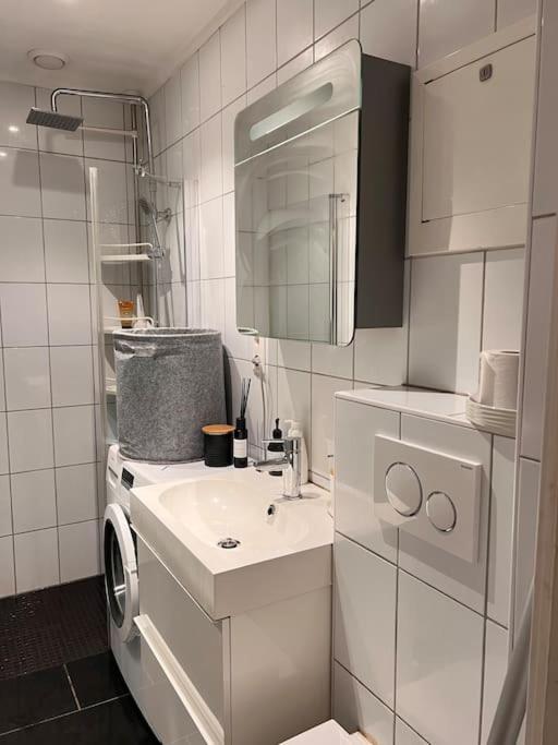 Royal Neighbourhood Elegant Flat In Central Oslo Esterno foto